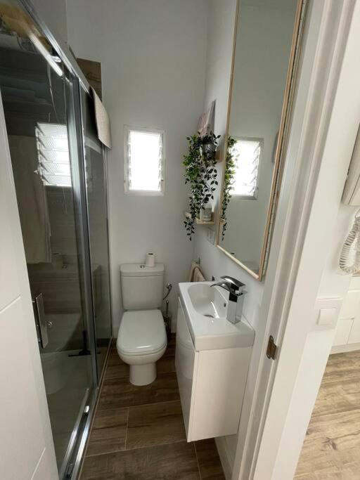 Atico Duplex Con Terraza En Pleno Centro De Jerez Apartment Jerez de la Frontera Ngoại thất bức ảnh