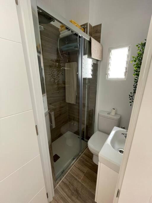 Atico Duplex Con Terraza En Pleno Centro De Jerez Apartment Jerez de la Frontera Ngoại thất bức ảnh
